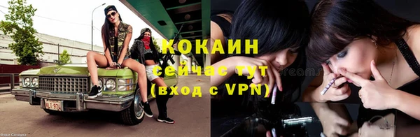 МДПВ Волосово