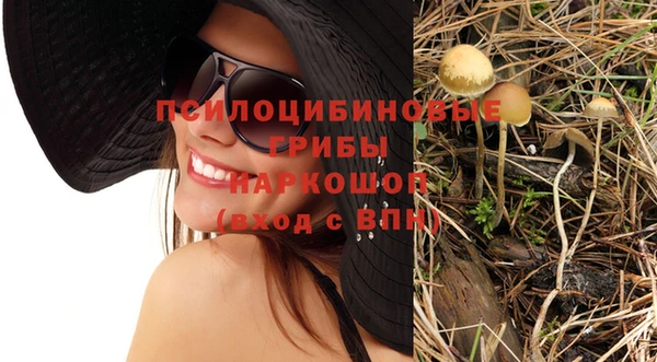 apvp Волоколамск