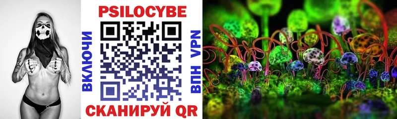 Галлюциногенные грибы Psilocybine cubensis Ейск